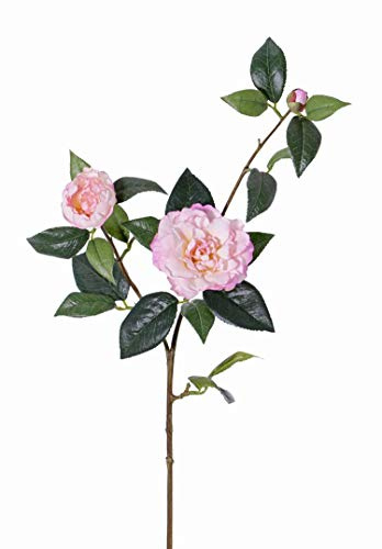 artplants.de Rama de Camelias Artificiales RIXA, Rosa, 85cm, Ø5-10cm | con Flores - Camelia sintética - Ramillete de Camelia Falsa