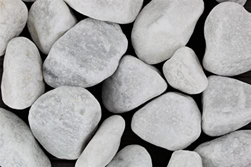 Gravier de jardin 1 kg Carrara lavé Grain 40-60 mm Gravier décoratif pour étangs décoratifs