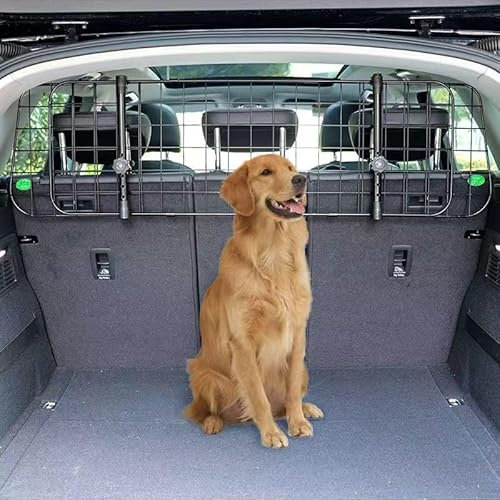 Autoschutzgitter Trenngitter für Hunde für Citroen E-C4 2020+, Hundeschutzgitter Kofferraumgitter Hundegitter Auto zum Transport für Deinen Hund Auto Zubehör