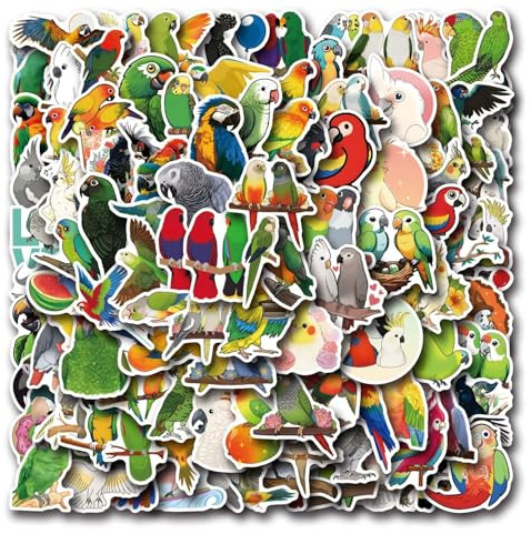 Lot de 100 autocollants oiseaux de couleur pour voiture, ordinateur portable, téléphone, guitare, skateboard, moto, vélo, oiseau - En vinyle imperméable - Autocollants esthétiques pour adolescents,
