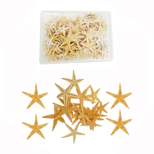 20 Pieces Small Size Natural Starfish Sea Star Shells Resin Craft Making Beach Wedding Nautical Ornament DIY Vase Filler 1.5cm-2.5cm