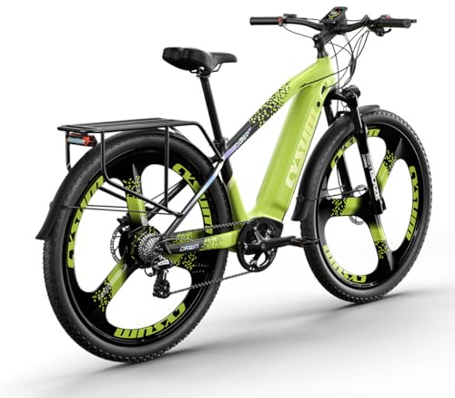 PRASHANT Speedy Mountainbike 29 Zoll MTB Fahrrad für Erwachsene Mann Frau, Pendler City Fahrrad mit hydraulischer Scheibenbremse (grün-1)