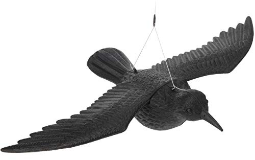 Taubenschreck Rabe Gartenfigur (57x40x13 cm)
