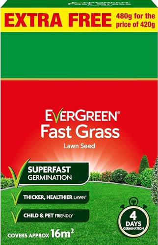 BozexPro Evergreen GRO Fast Grass Lawn Seed | Sprouts in 4 Days - Rapid Growth Lawn Patch Repair Seeds | Engineered for UK Weather - Safe for Children & Pets [480g]