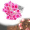 GMHLLES Flower Fairy Lights, 3 Meters 30 Pink Cherry Blossoms Battery Operated Fairy Lights Suitable for Indoor Home Bedroom Christmas Valentine's Day Wedding Decoration