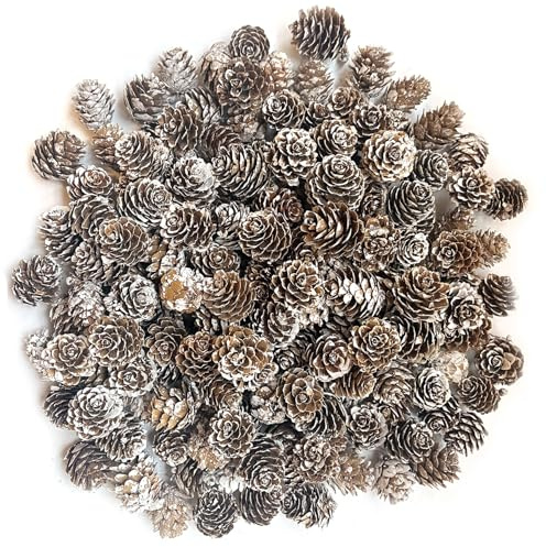 POTWPOT 100Pcs Christmas Snow Pine Cones, Christmas Pinecones Natural Pine Cones White Pine Cones Small Pinecones for Crafts Christmas Party Ornament DIY Home Winter Decoration(2-3cm)