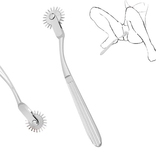 Qiyasex Bbdsms Spielzeug Hart Extrem Erotikspielzeug Für Paare,Sm Sexspielzeug Mikronadelroller Fetisch Sex Toys Aus Edelstahl, Federkitzler FüR Sexspiele