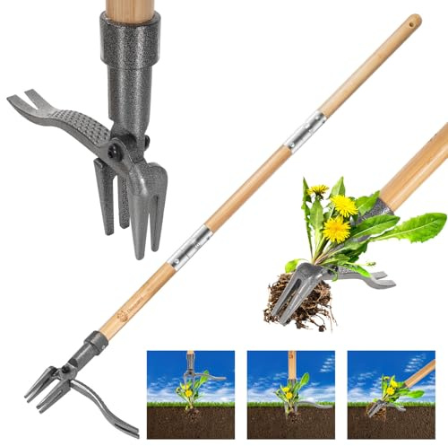 Daxguard Weed Puller-Stand Up Weed Puller Tool,Adjustable 44-31.5 Bamboo Handle with Heavy Duty 4-Claw Cast Steel Head - Foot Step Design, No Bending Required - Garden & Yard Weeder