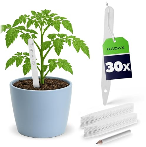 KADAX 30 placas de plástico resistentes a la intemperie para plantas para etiquetar, placas de jardín, etiquetas para plantas, letreros de hierbas, 30 unidades