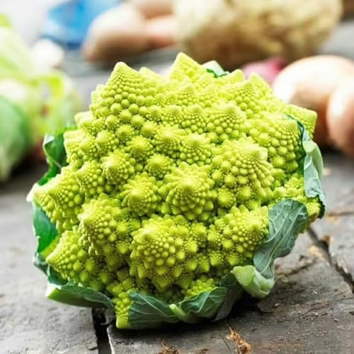 coliflor - Brassica oleracea - Comprar de hortalizas de invierno semillas coliflor balcón invernadero jardín perennes resistentes sostenibles semillas 200semillas