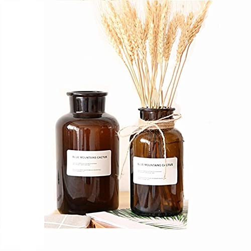 Amber Glass Vase Set of 2, Small Bud Vase for Rustic Home Decor Apothecary Jars Mini Vintage Flower Vases Centerpiece for Wedding Decorations, Decorative Glass Bottles (17+34OZ)