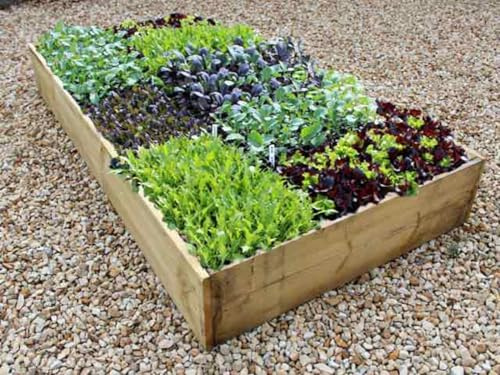 Quickcrop Allotment Raised Beds - 22.5cm High (180cm x 120cm)