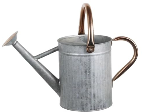 Bemonew Annaffiatoio in Acciaio Inossidabile, Annaffiatoio in Metallo da 1, 3 Galloni/5 Litri con Beccuccio Rimovibile e 2 Maniglie per Piante da Esterno e da Interno, Argento