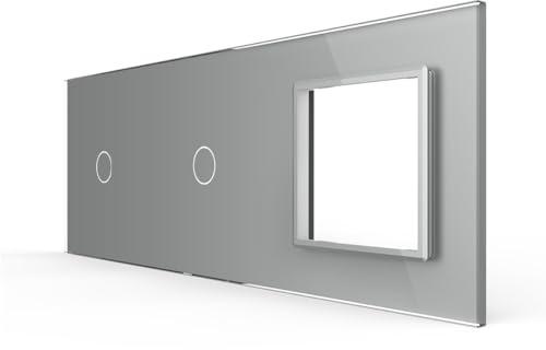 LIVOLO Glas Touch Lichtschalter Funkschalter Steckdosen Wechselschalter uvm in grau (Nur Rahmen VL-C7-C1/C1/SR-15)