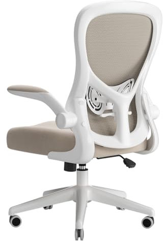 Hbada Bürostuhl Ergonomisch, Schreibtischstuhl, Computer Bürostuhl mit hochklappbarer Armlehne und Lendenwirbelstütze, Drehstuhl Höhenverstellbar, Grau