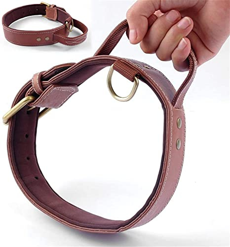 Hundehalsband, Schnellsteuerung Weich Innen Gepolstertes Pu-Leder-Hundehalsband Mit Griff FüR MittelgroßE Hunde Walking Training