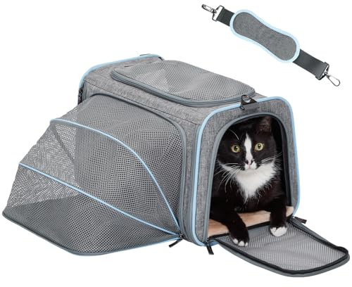 Petsfit Faltbare Transporttasche für Katzen & Hunde, einseitig erweiterbare Katzentransportbox mit Schultergurt, aus stabilem Oxford-Gewebe, Faltbare Hundetransportbox, praktische Reise