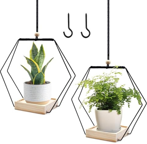 BDHYYM 2 Stück Blumenampel Hängend Innen,Metallring mit Holzsockel,Hängender Blumentopf Hängend,Hängetopf für Pflanzen,Hängeampel Blumen,Blumenampel Innen,Hängepflanzen Topf,Aufhängehaken Inklusive