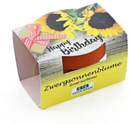 Bull & Bear Mini Pflanzset 'Happy Birthday', Blumensamen im Topf 4,5cm, Mini Sonnenblume als Anzuchtset mit Pflegeanleitung