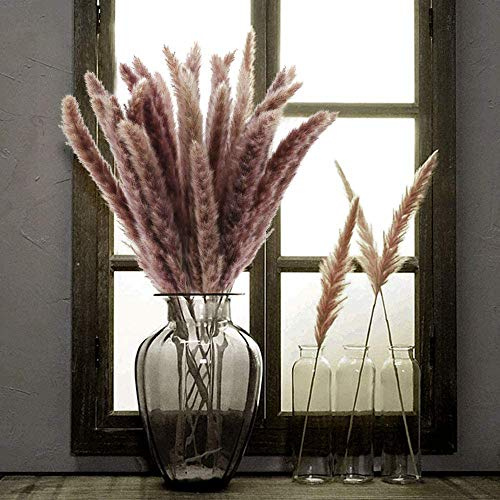 NaDeco Pampasgras Fluffy getrocknet 35/70g, Länge ±80cm in Natur oder Weiß wählbar Pampas Gras Dekozweige Trockenblumen Blumenstrauß aus Pampasgras Deko Zweige, Farbe:Natur