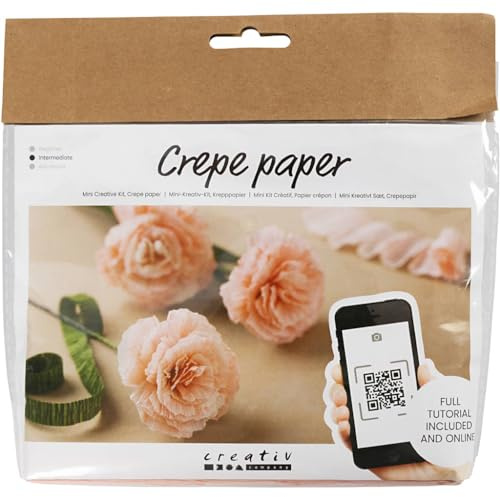 Creativ Company Mini craft sets crepe paper floral carnations - for crafting beautiful crepe flowers