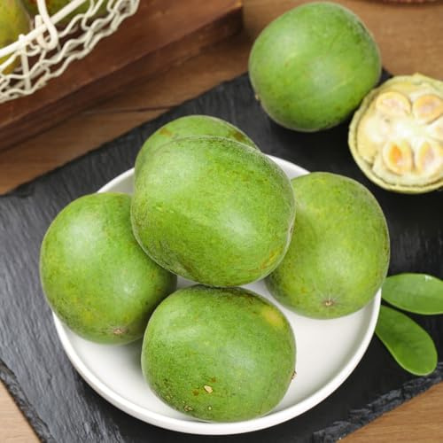 Semi di Siraitia Grosvenorii, fresca regali per gli amanti del giardino giardino aromatiche per luoghi soleggiati da nani resistenti 8pcs