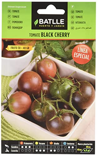 Semillas Batlle – Semi di Pomodoro, linea speciale
