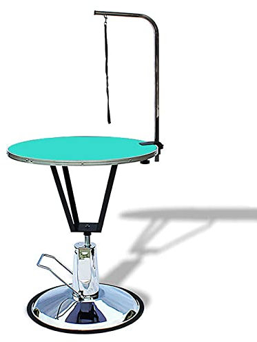 REALN Haustierpflegetisch, Um 360 ° Drehbarer, Hydraulisch Anhebbarer Trimmtisch FüR Katzen Und Hunde, Verstellbarer Pflegetisch Mit Arm Und Schlinge Zum Baden Und Blasen Von Tieren (Color : Green)
