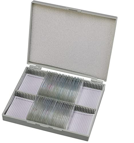 Bresser Mikroskop Dauerpräparate 30 Stück in Kunststoffbox, Lernpräparate aus der Biologie