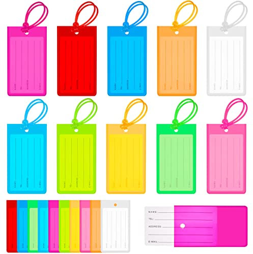 Sumind 100 Pcs Plastic Luggage Tags Assorted Name Classic Style