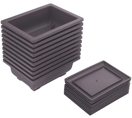 Lanko 10 confezioni di vasi per allenamento bonsai con vassoio in plastica per piante bonsai vaso per giardino, balcone, 16,5 x 12 cm