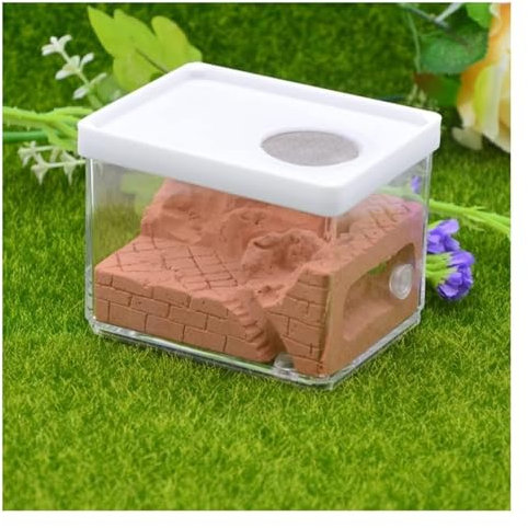 Ameisenfarm Formicarium Gips Ant Farm Square Nest Haustier Anthill Insektenkasten Ant Nest Workshop Verwendet Für Ant Wissenschaft Bildung Ameisenfarm für Draußen(Brown)