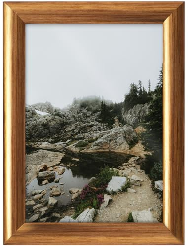 RAWWEST.BIS Holz Bilderrahmen 59,4x84,1 cm Fotorahmen Furnier in Goldoptik | DIN A1 Plakatrahmen mit abgeriebener Furnierung, Holzrahmen mit Acrylglas, Rahmen für Bilder Poster Fotos Puzzles