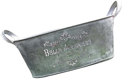 Ddujbtp Metall-Blumentöpfe, groß, Eisen-Blumentöpfe, rostfreier Metall-Eimer, Pflanzgefäß, Bauernhaus, Vintage-Stil, für Dekorationen, Vintage-Stil, Eisenwanne, Übertopf