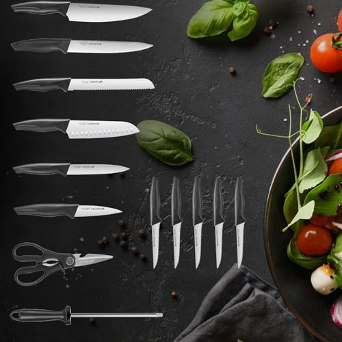 Fesjoy Set di Coltelli da da 15 Pezzi con Blocco Set di Coltelli Professionali in Acciaio Inossidabile Ad Alto Tenore Carbonio per Tagliare, Facile Manutenzione e Conservazione, Taglierino Santoku