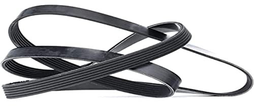 Dayco 6PK1565 Correa Trapecial Poli V