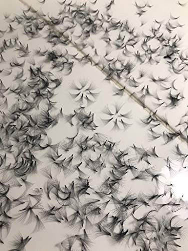 LASH BY HOLLY 8D PREMADE (HAND MADE) FAN LASHES (500 FANS/TRAY) FOR EYELASH EXTENSION, C CURL, D CURL AND M CURL, 0.07 THICKNESS, LENGTH FROM 9MM-15MM (D12mm8D)