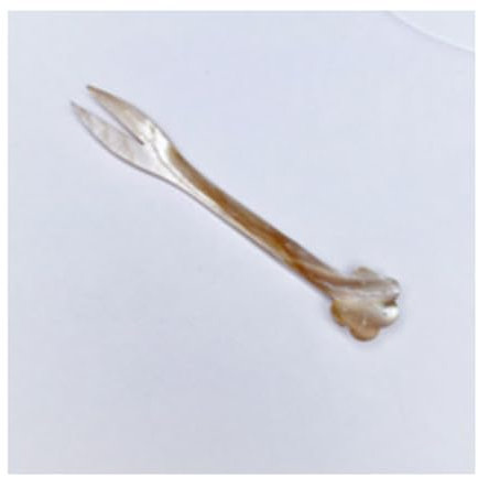 Hrlace 1 cuchara de huevo de 12 cm, nácar, concha natural, cuchara de caviar, cuchara de caviar hecha a mano, nácar, cuchara de postre, cuchara de café, cuchara de mermelada, cuchara mezcladora 2#