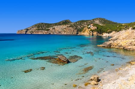 Holz-Bild 80 x 50 cm: Blick auf den wunderschönen Strand in Camp de Mar, Mallorca, Spanien (93948224)