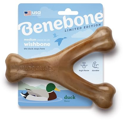 Benebone Wishbone – Giocattolo da masticare per cani, resistente, per masticatori aggressivi, gusto anatra, Made in USA, Taglia M