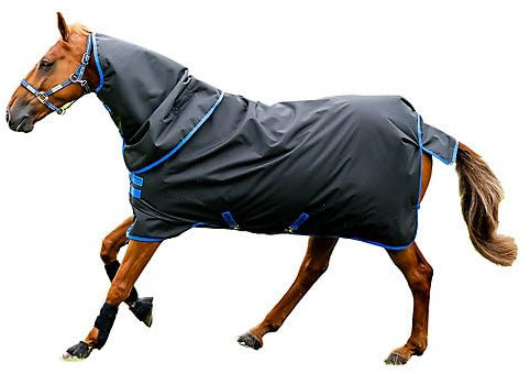 Amigo Horseware 900D Ripstop Plus Turnout 0g Black/Classic Blue, Horseware Deckengröße:160 cm / 7´0