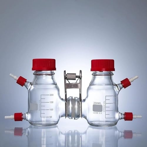 Reattore MEC di tipo II da 250 ml - Scatola elettrochimica chimica microbica