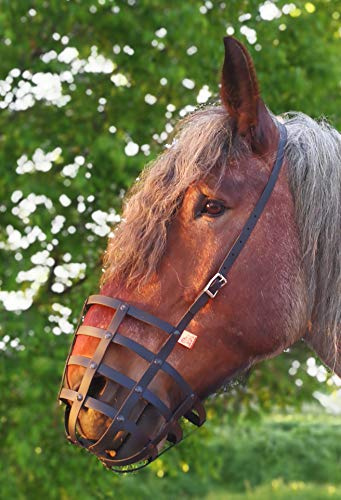 Fressbremse Strong Standardgröße mit Kehlriemen und Verstärkter Bodenplatte