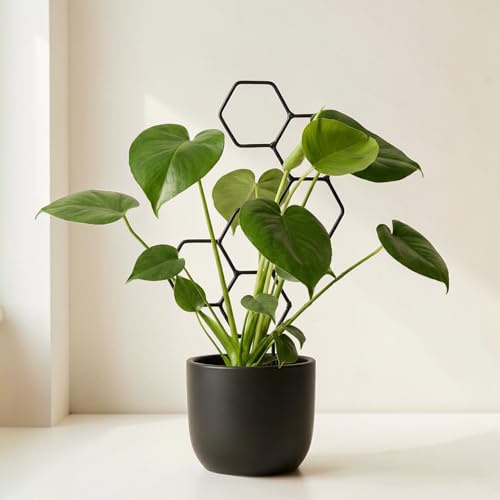 LEAFLO Honey växtstöd för inomhusväxter liten 48 cm | Metall – växtstöd – spaljé – blomgaller | inredning | för växtälskare, svart