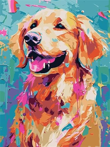Malen Nach Zahlen Erwachsene Hund, DIY Malen Nach Zahlen Golden Retriever Ölgemälde Leinwand Kit für Anfänger, Mit 3-Pinseln und Acrylfarbe, für Home Wanddeko Wohnzimmer, Geschenke 60x70cm -Y44