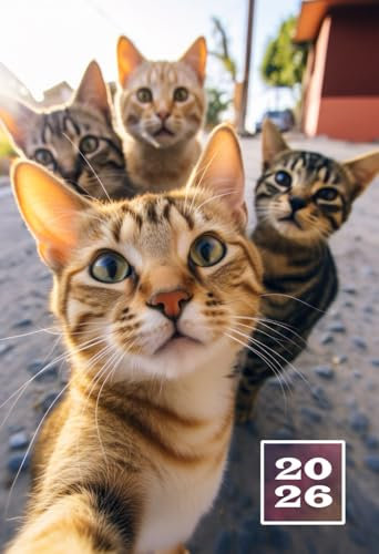 2026: A6 Wochentaschenkalender | 1 Woche auf 2 Seiten Terminplaner | Buchkalender im Mini Format | Weekly Planner Kalender | Jahresplaner Kalenderbuch ... | Agenda Planer Klein & Kompakt | Katzen