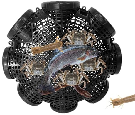 Robuste Köderfischreuse aus PP – Wiederverwendbare Krebsreuse & Aalreuse mit Trichter-Einlass – Reusenfalle für Krebse, Aale & Köderfische (Inkl. 3, 6 oder 8 Löcher wählbar)