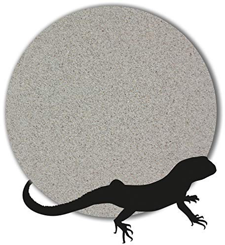 Anbobo 25 kg Terrariensand Terrarienkies Terrariumsand hellgrau (0,1-0,3 mm)
