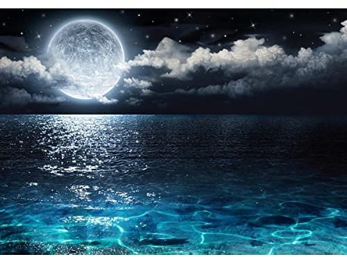 Runa Art Papel tapiz fotográfico Lago de Luna Llena Moderna Lana Sala Cuarto Salón - Made in Germany - Azul negro 9489010a