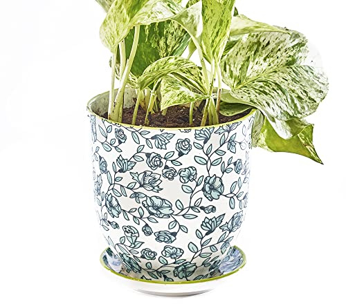 CHIVE ‘Liberte’ Ceramic Succulent Pots — 4.25” Cute Vintage Farmhouse Style Planters for Indoor Plants — Beautiful Home & Kitchen Decor — Green Flowers